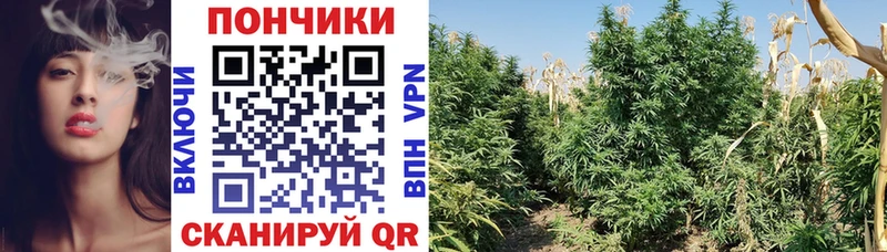 Какие есть наркотики Кунгур Бутират МЕФ ГАШИШ Cocaine